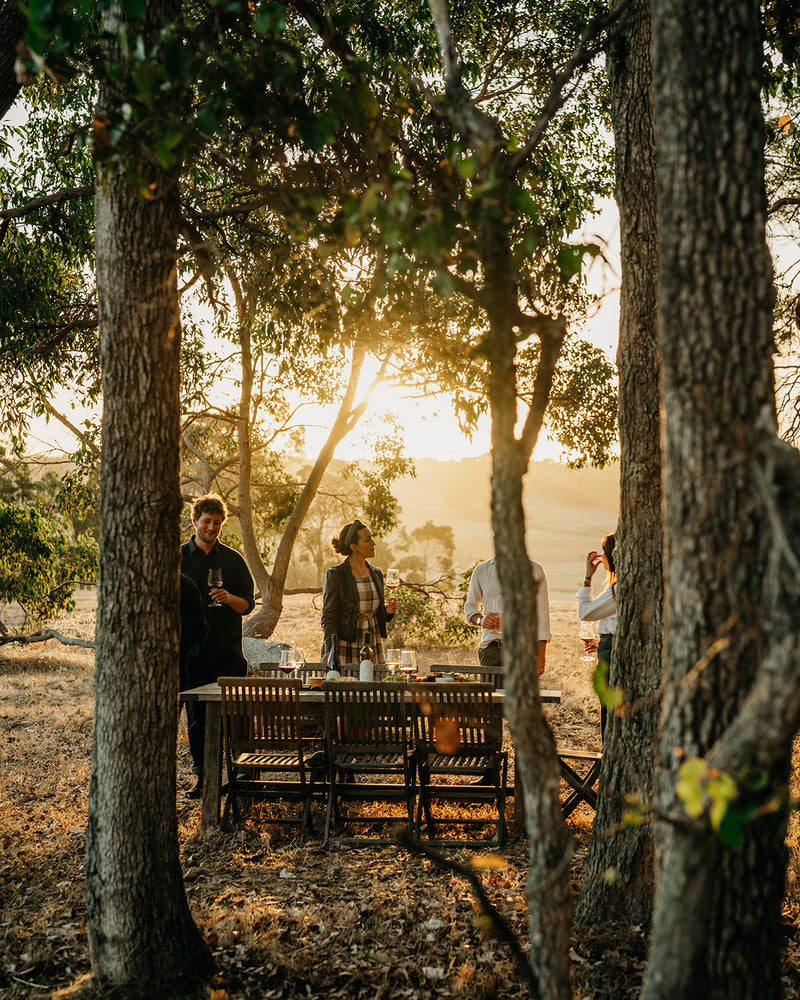 2019 Cabernet Sauvignon