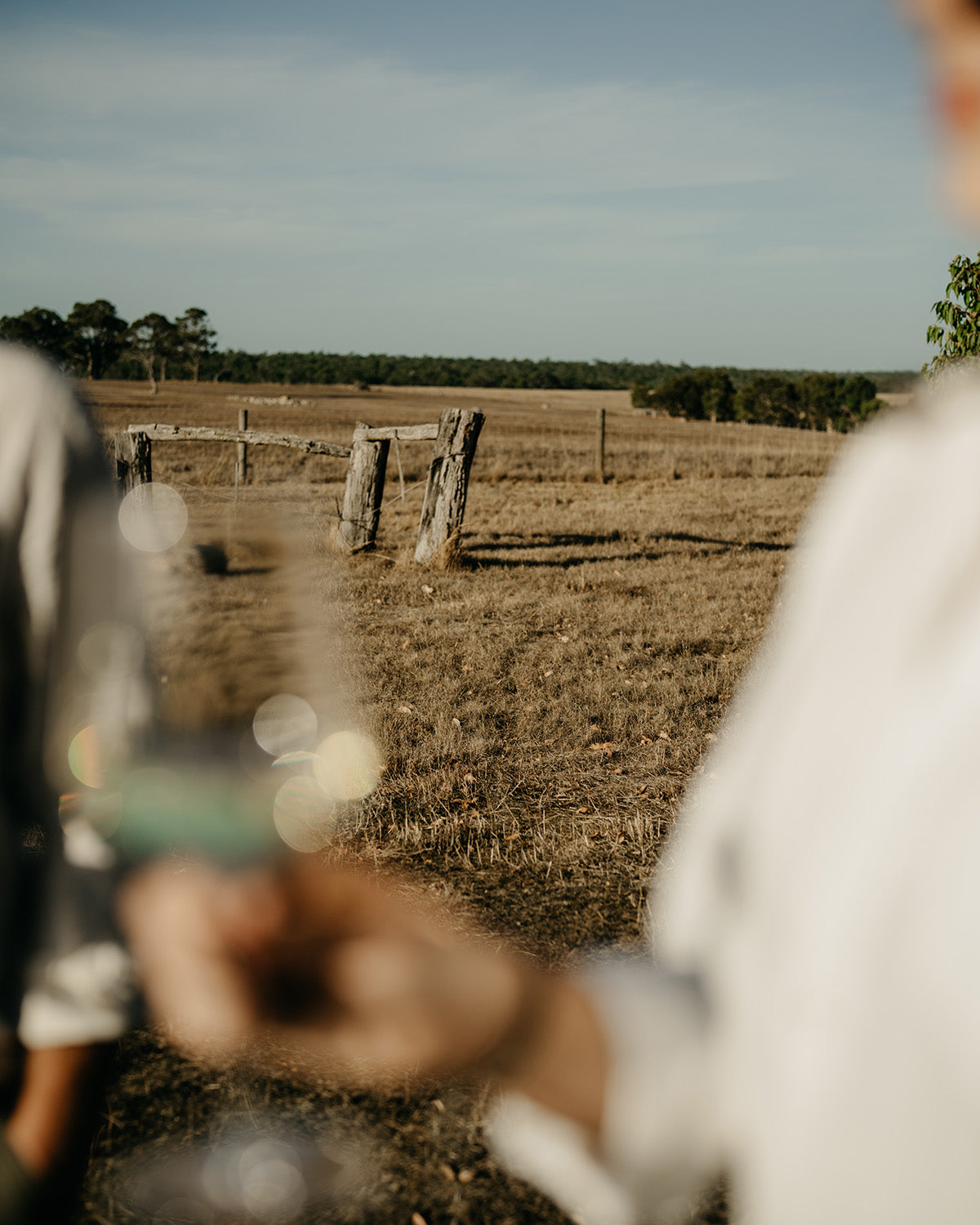 2024 Project - Pinot Gris